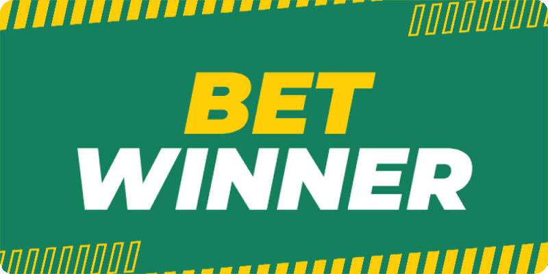 Understanding BetWinner Bets A Comprehensive Guide Understanding BetWinner Bets A Comprehensive Guide